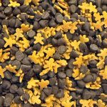 Holiday Sprinkles Gingerbread Men